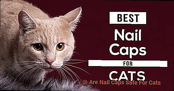 Are Nail Caps Safe For Cats-2