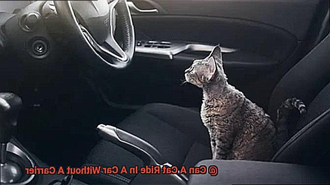 Can A Cat Ride In A Car Without A Carrier-2
