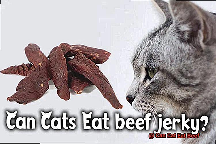 Can Cat Eat Beef-4