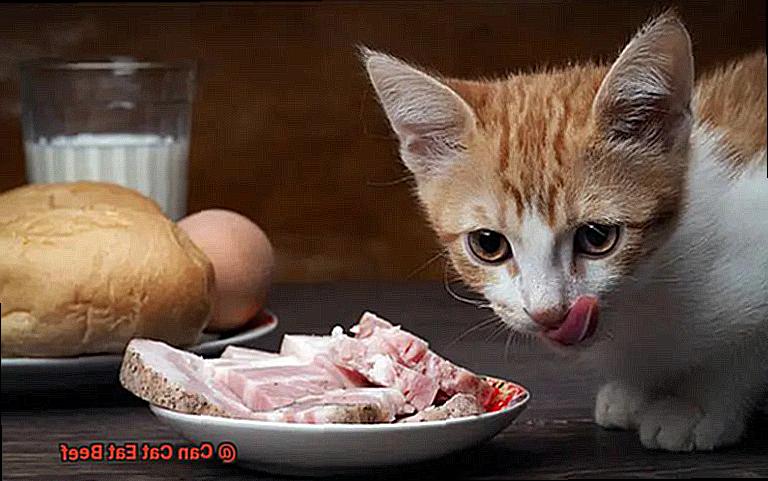 Can Cat Eat Beef-6