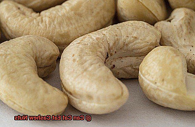 Can Cat Eat Cashew Nuts-5