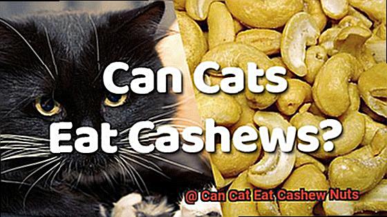 Can Cat Eat Cashew Nuts-2