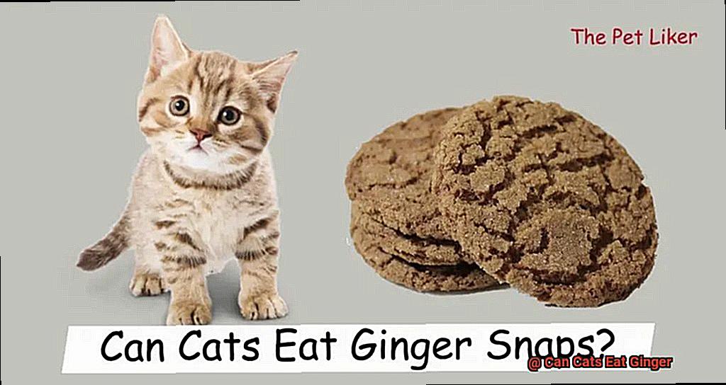 Can Cats Eat Ginger-4