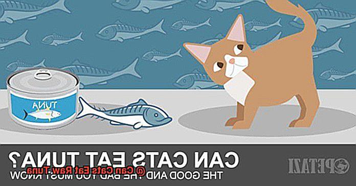 Can Cats Eat Raw Tuna-6