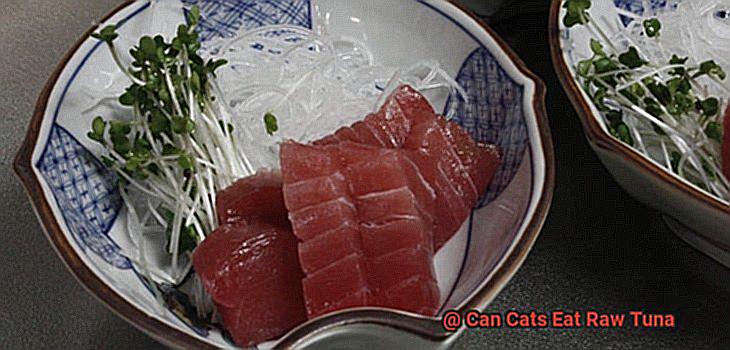 Can Cats Eat Raw Tuna-5
