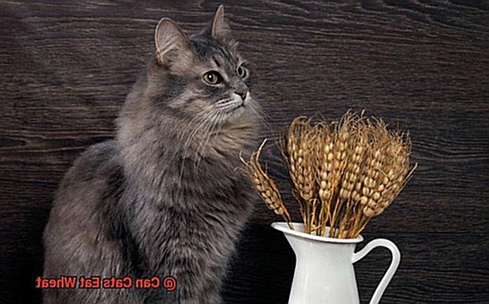 Can Cats Eat Wheat-4