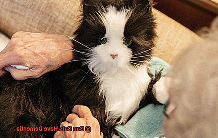 Can Cats Have Dementia-5