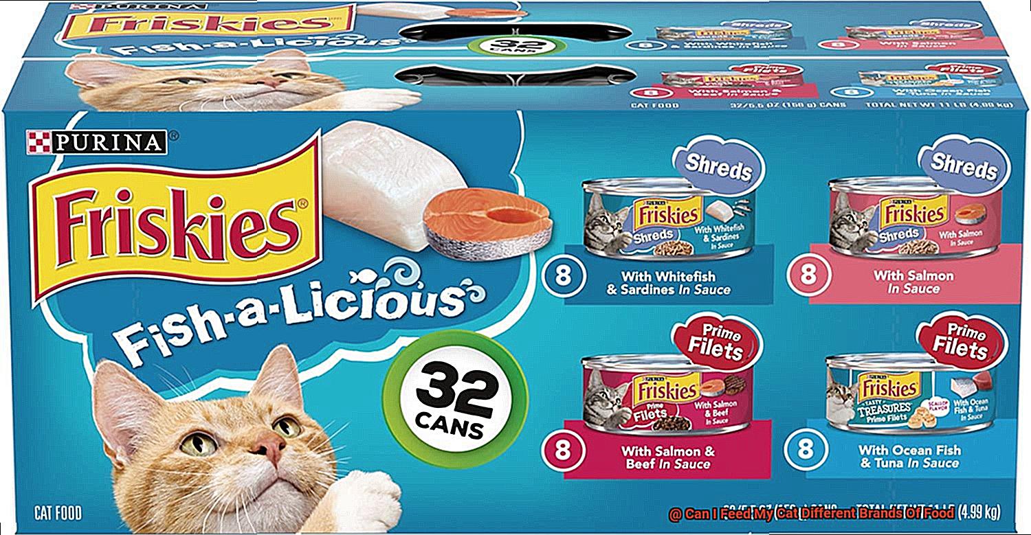 Can I Feed My Cat Different Brands Of Food-5