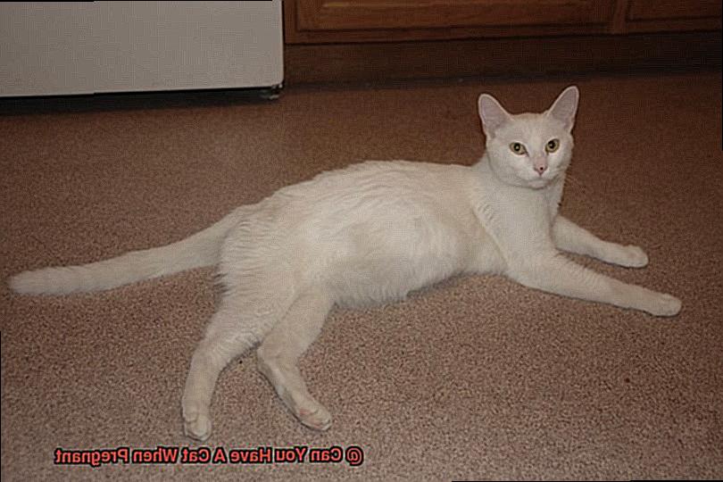 Can You Have A Cat When Pregnant-2