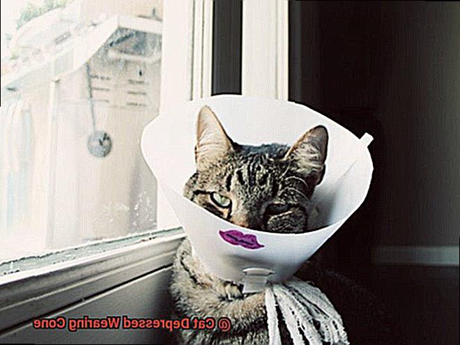 Cat Depressed Wearing Cone-2