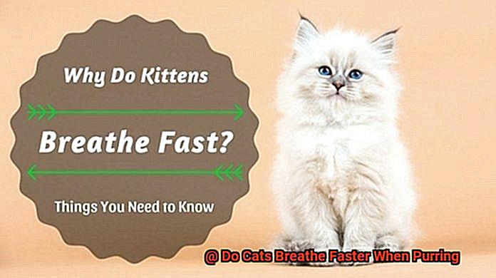 Do Cats Breathe Faster When Purring 4cc8de43df