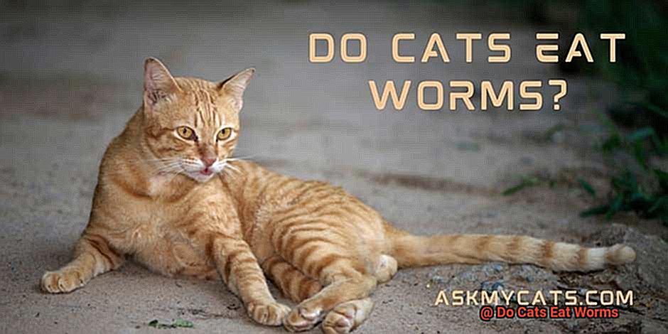 Do Cats Eat Worms-4