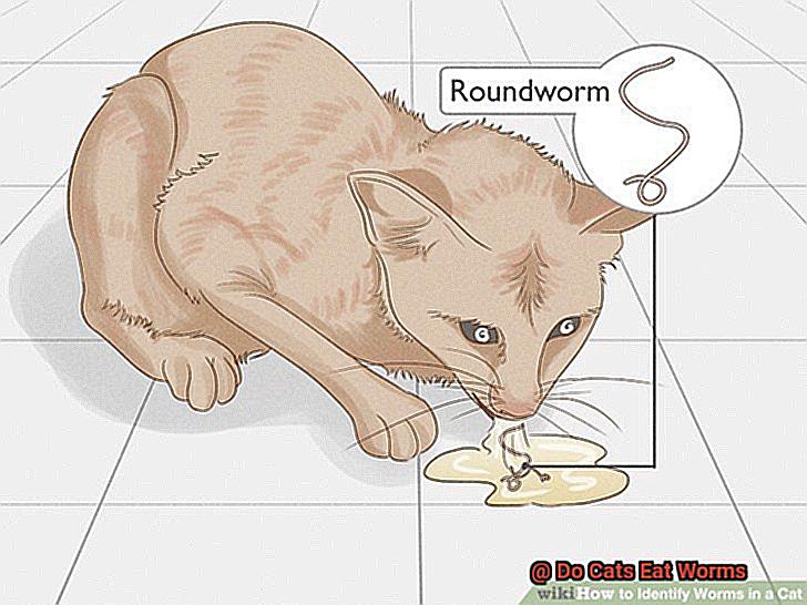 Do Cats Eat Worms-8