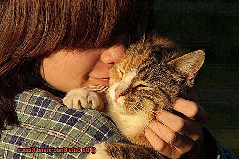 Do Cats Understand Kisses-4