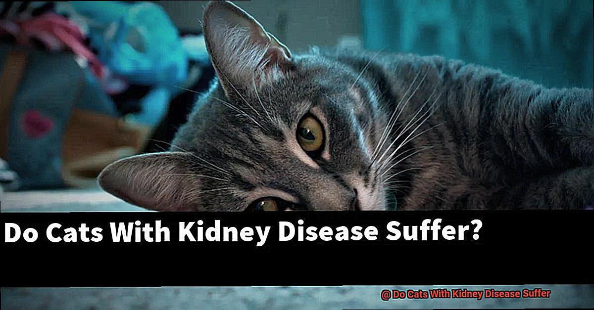 Do Cats With Kidney Disease Suffer-3