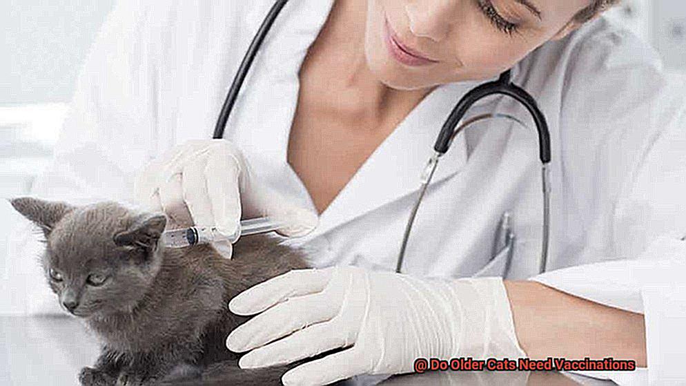 Do Older Cats Need Vaccinations-3