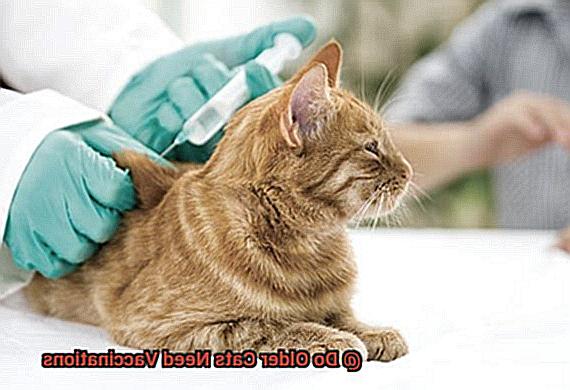 Do Older Cats Need Vaccinations-2