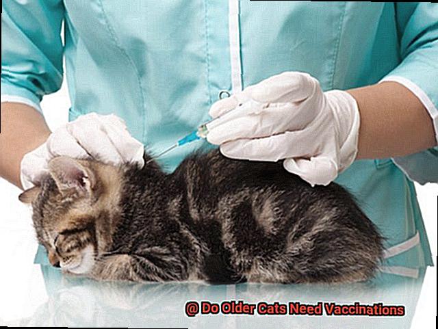 Do Older Cats Need Vaccinations-4