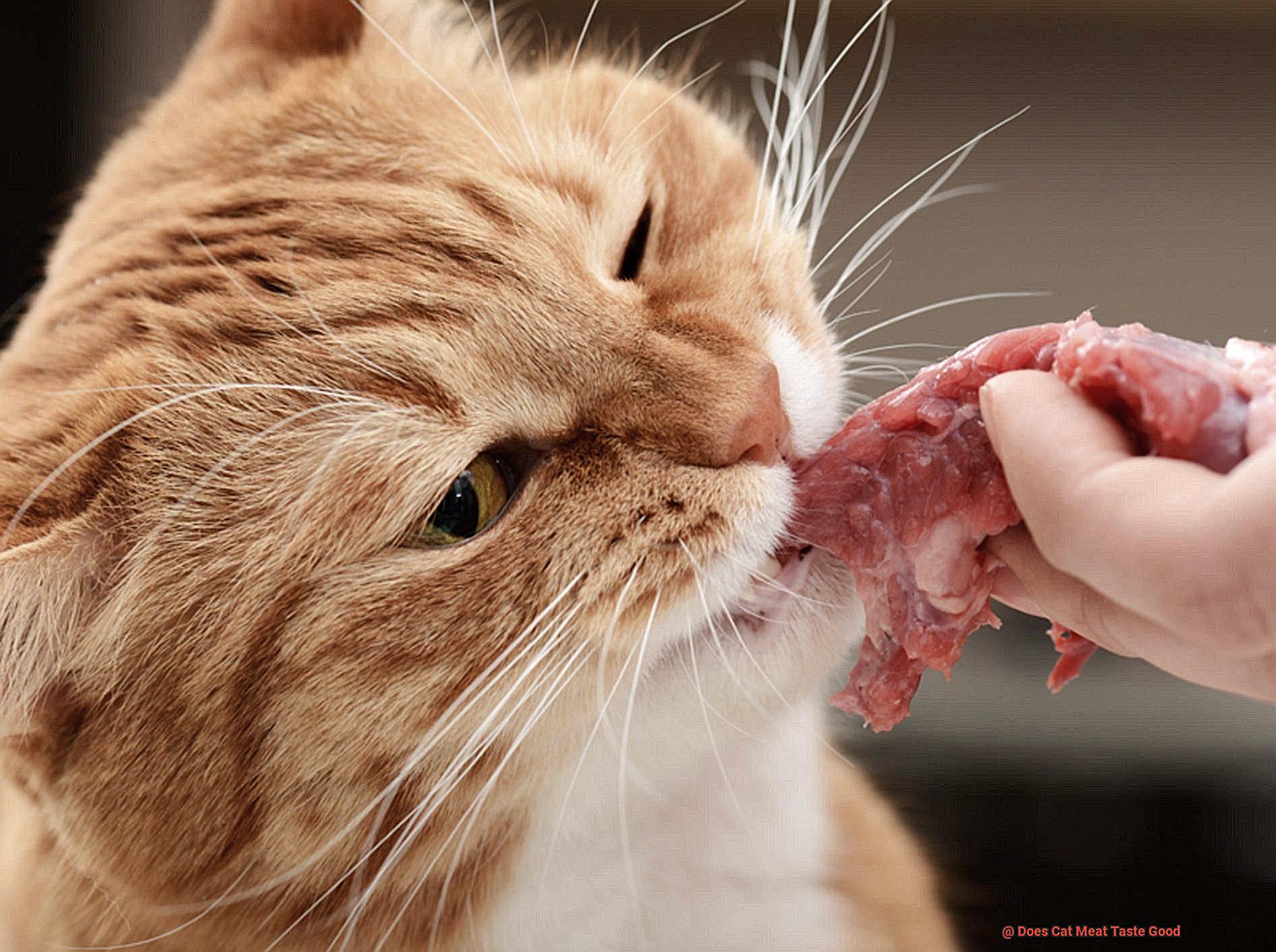 Does Cat Meat Taste Good-2