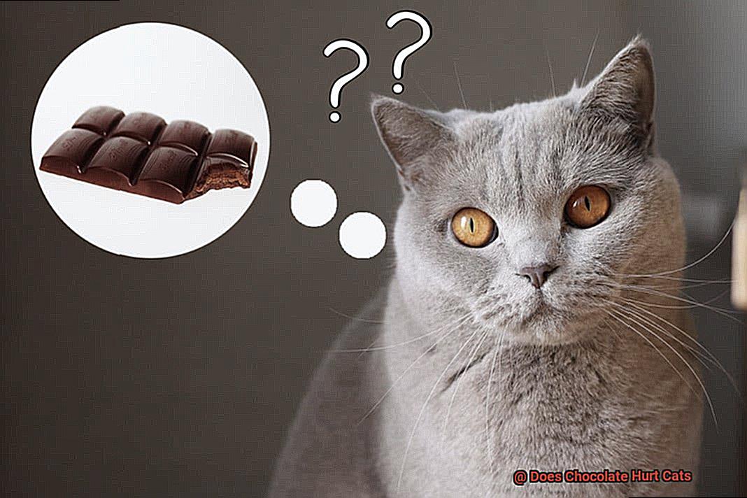 Does Chocolate Hurt Cats-3