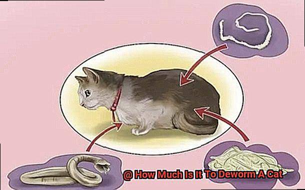 How Much Is It To Deworm A Cat-4