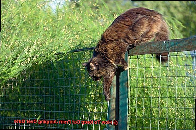 How To Keep Cat From Jumping Over Gate-4