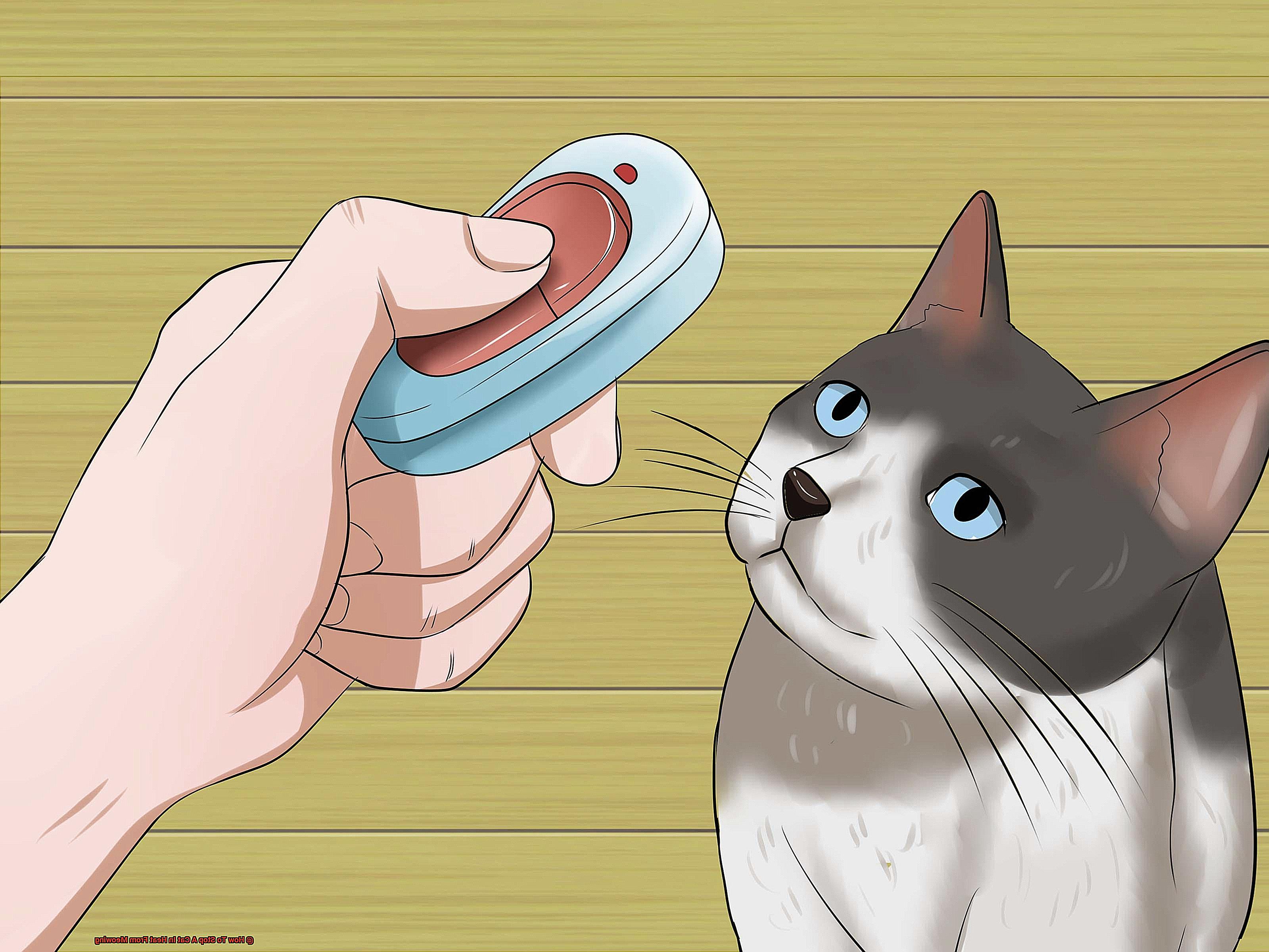 How To Stop A Cat In Heat From Meowing-4
