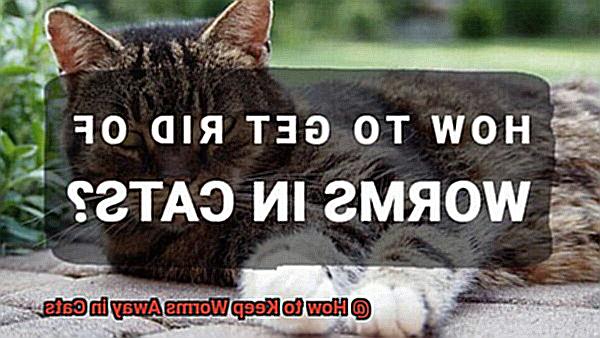 How to Keep Worms Away in Cats-2