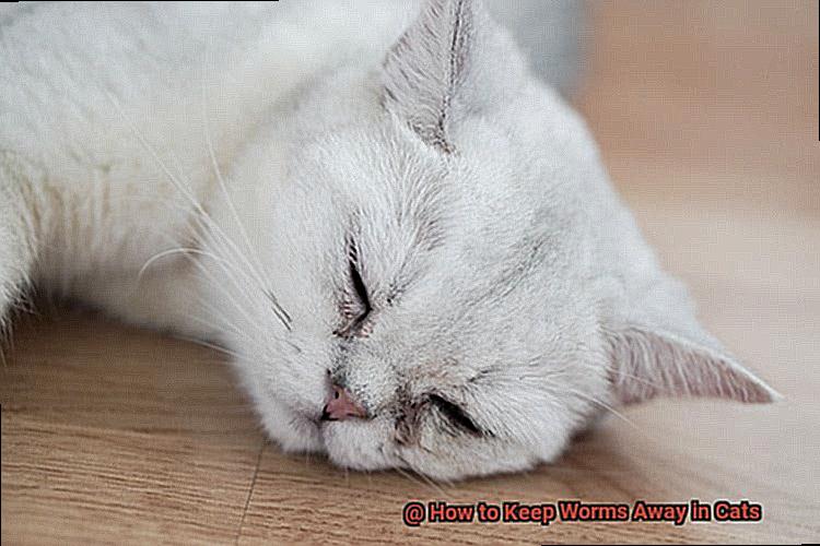 How to Keep Worms Away in Cats-3