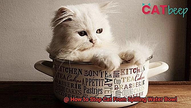 How to Stop Cat From Spilling Water Bowl-4