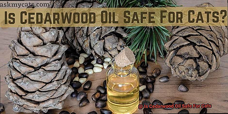 Is Cedarwood Oil Safe For Cats-10