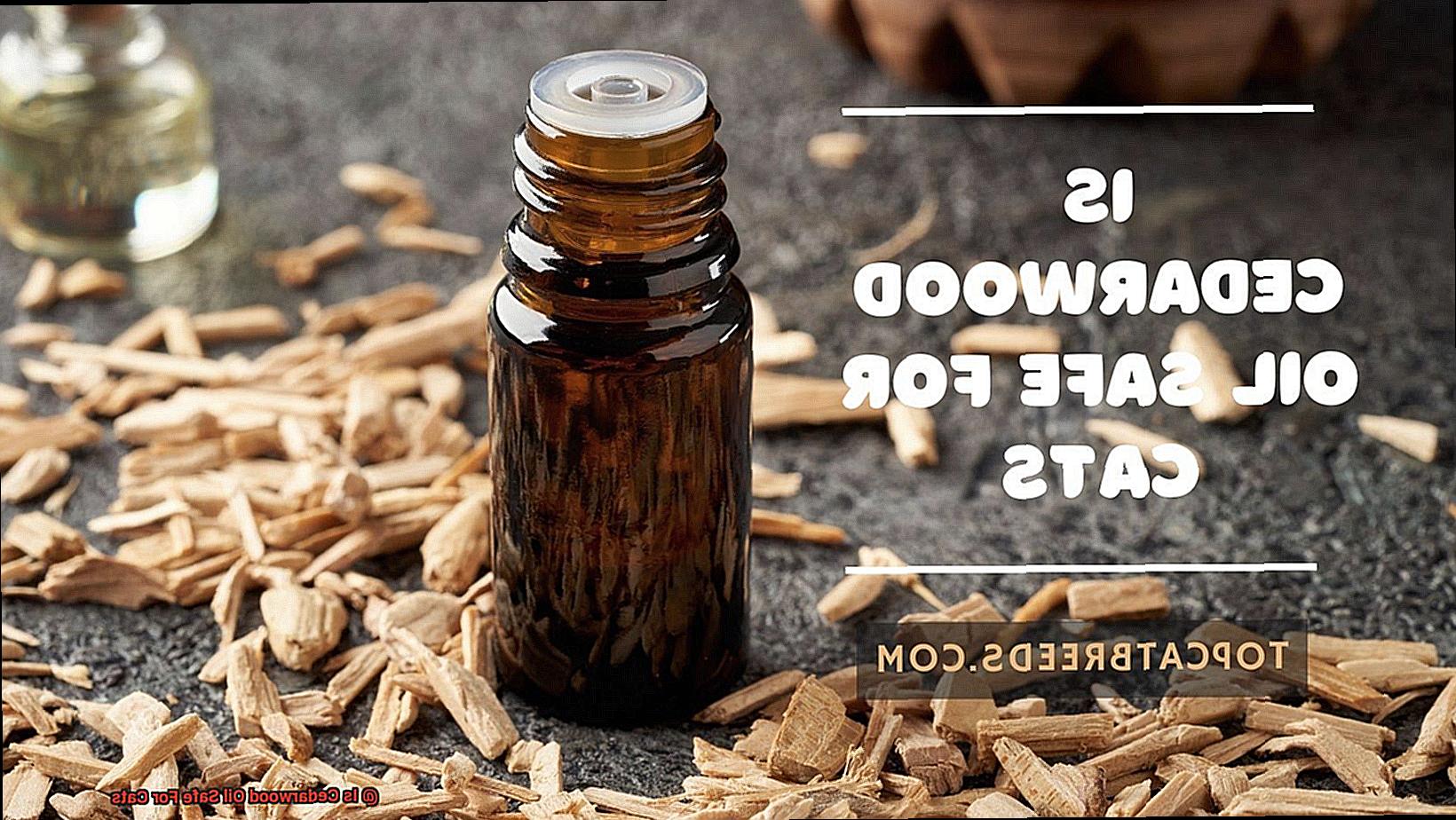 Is Cedarwood Oil Safe For Cats-3