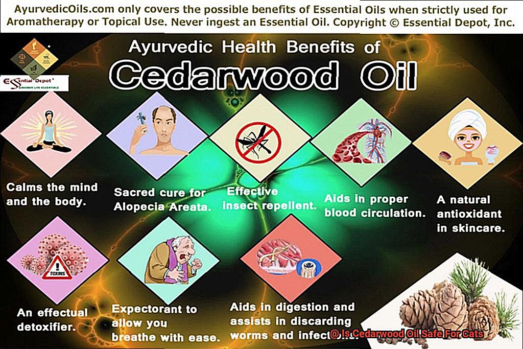 Is Cedarwood Oil Safe For Cats-6