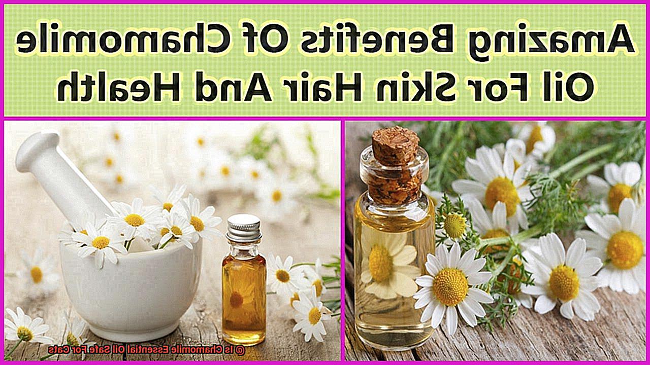 Is Chamomile Essential Oil Safe For Cats-2