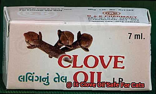 Is Clove Oil Safe For Cats-3