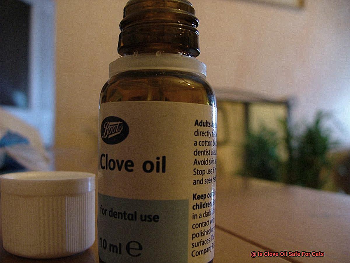 Is Clove Oil Safe For Cats-4