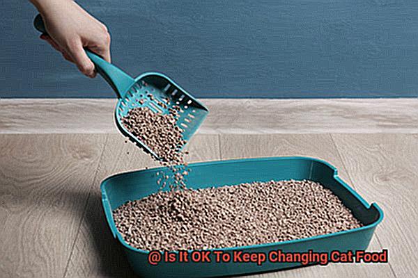 Is It OK To Keep Changing Cat Food-11