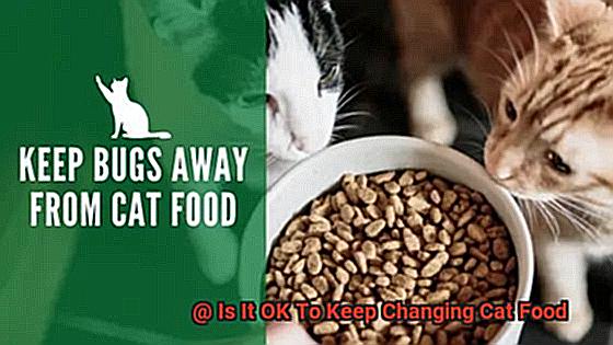 Is It OK To Keep Changing Cat Food-7