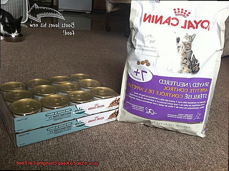 Is It OK To Keep Changing Cat Food-5