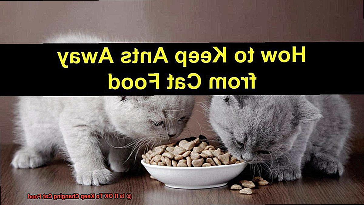 Is It OK To Keep Changing Cat Food-9