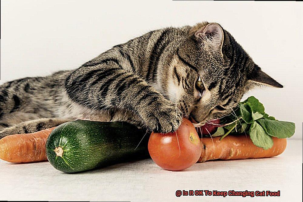 Is It OK To Keep Changing Cat Food-6
