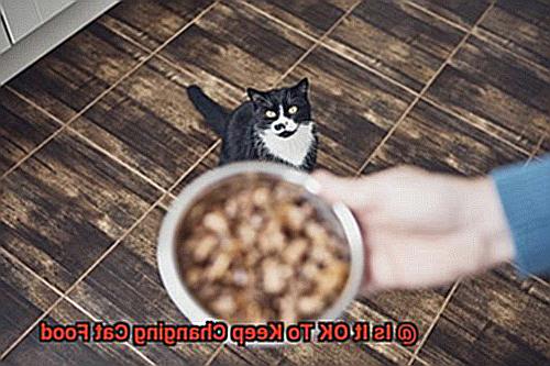 Is It OK To Keep Changing Cat Food-14