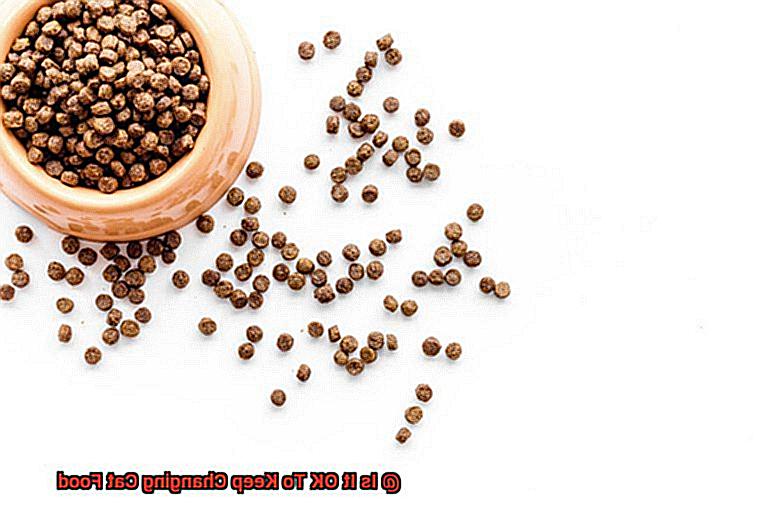 Is It OK To Keep Changing Cat Food-3
