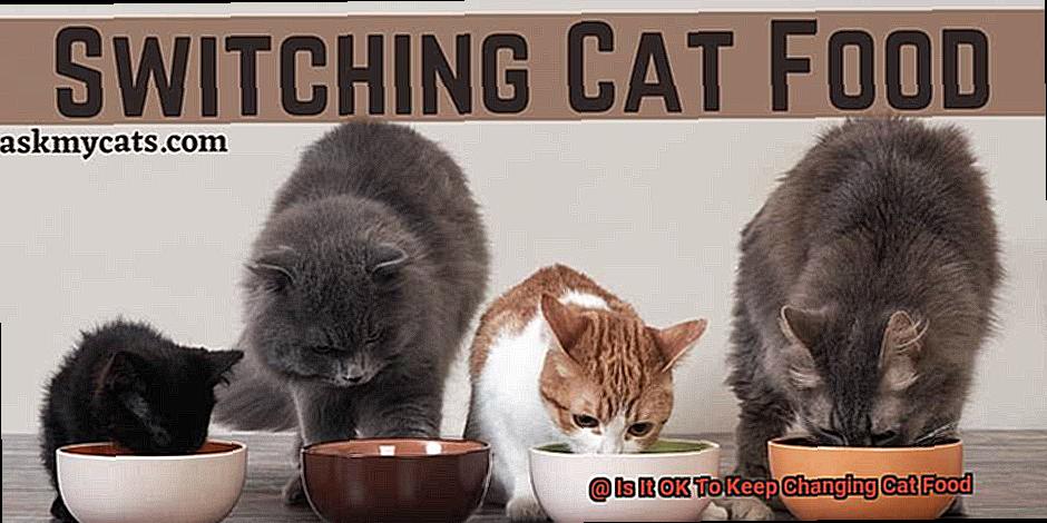 Is It OK To Keep Changing Cat Food-15