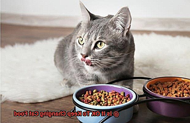 Is It OK To Keep Changing Cat Food-12