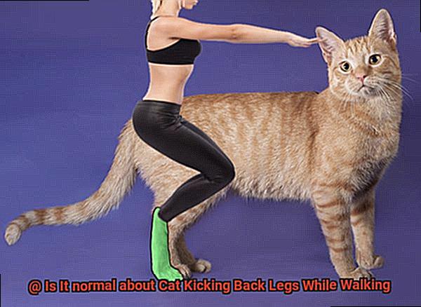Is It normal about Cat Kicking Back Legs While Walking-2