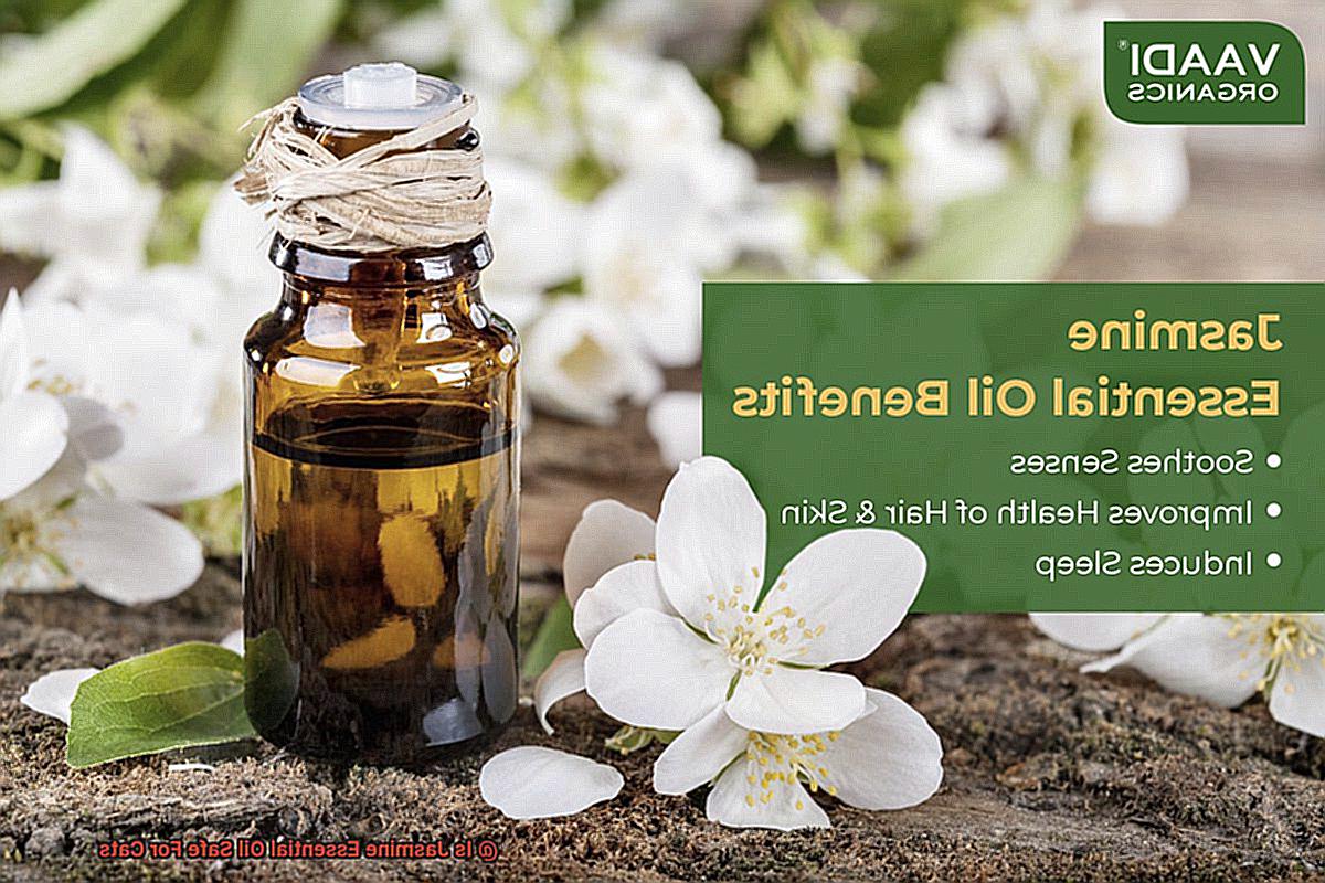 Is Jasmine Essential Oil Safe For Cats-5
