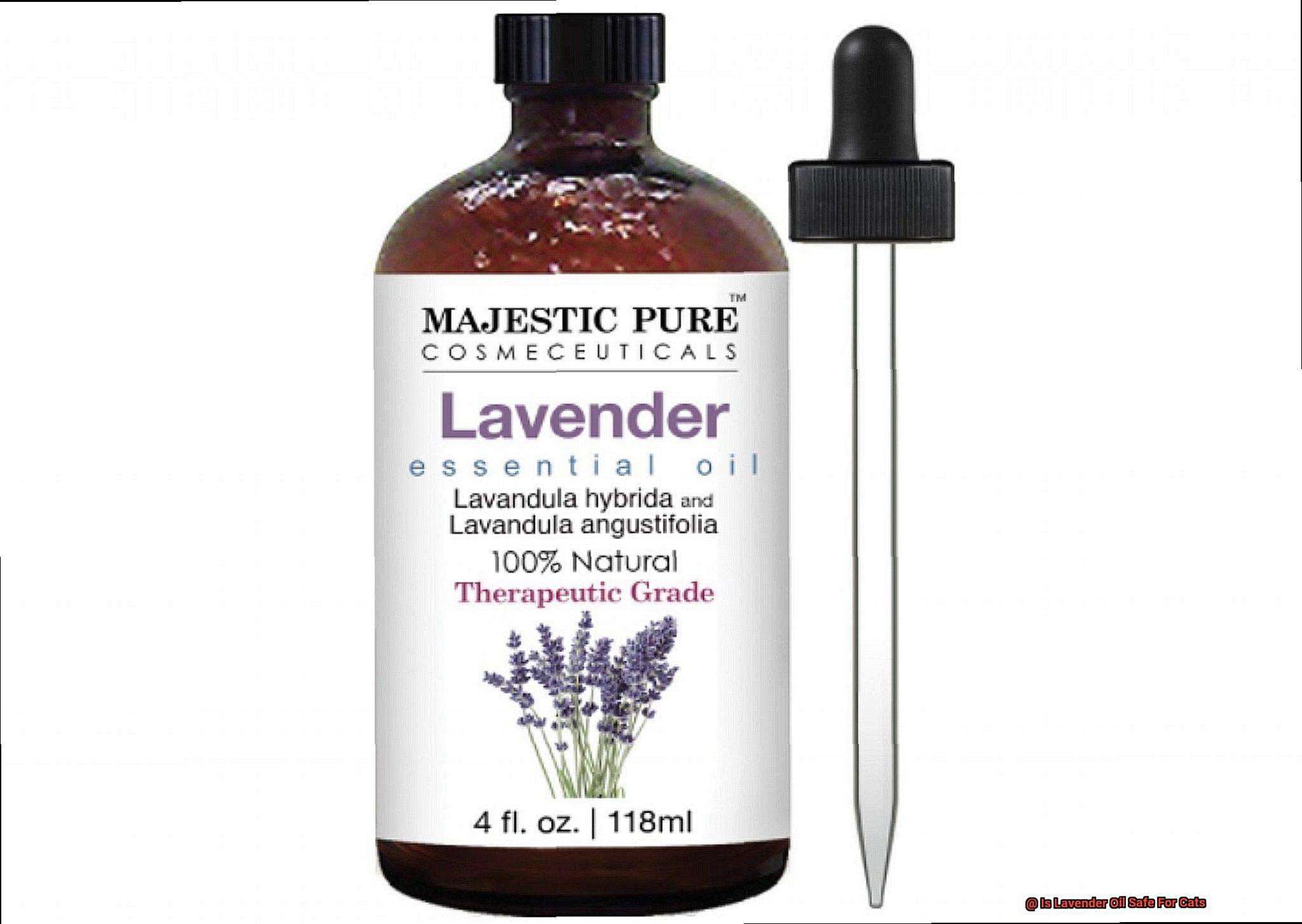 Is Lavender Oil Safe For Cats-3
