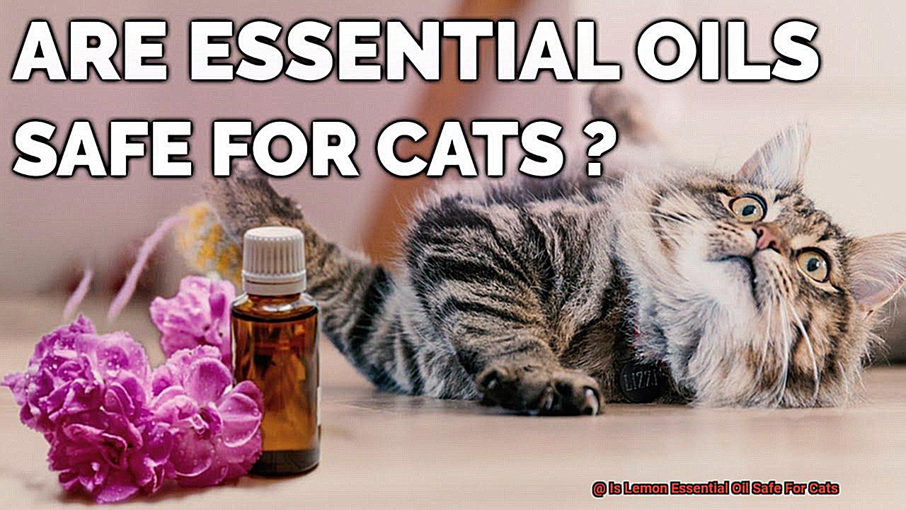 Is Lemon Essential Oil Safe For Cats-7