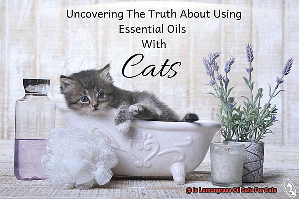 Is Lemongrass Oil Safe For Cats-4